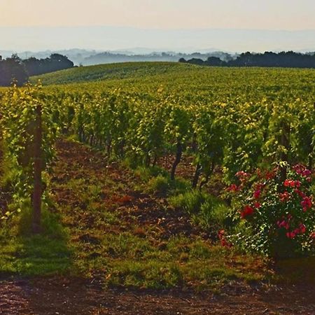 Agriturismo Fattoria Il Piano - Appartamento Focolare - San Gimignano Ngoại thất bức ảnh