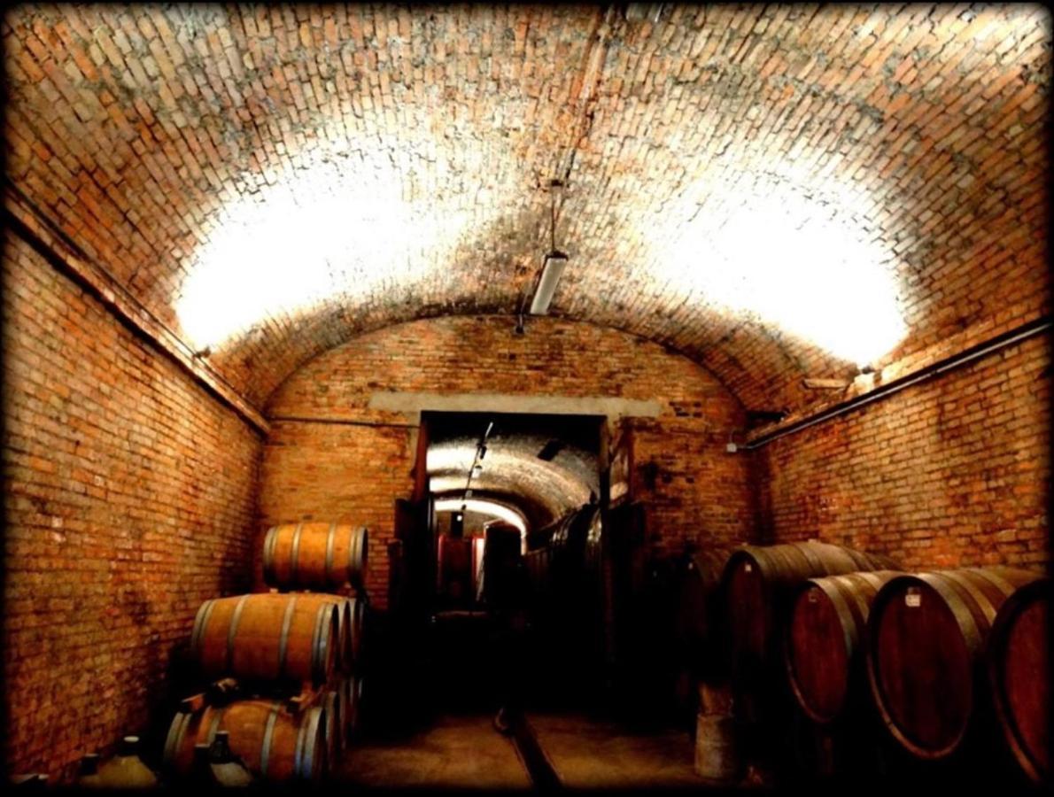 Agriturismo Fattoria Il Piano - Appartamento Focolare - San Gimignano Ngoại thất bức ảnh