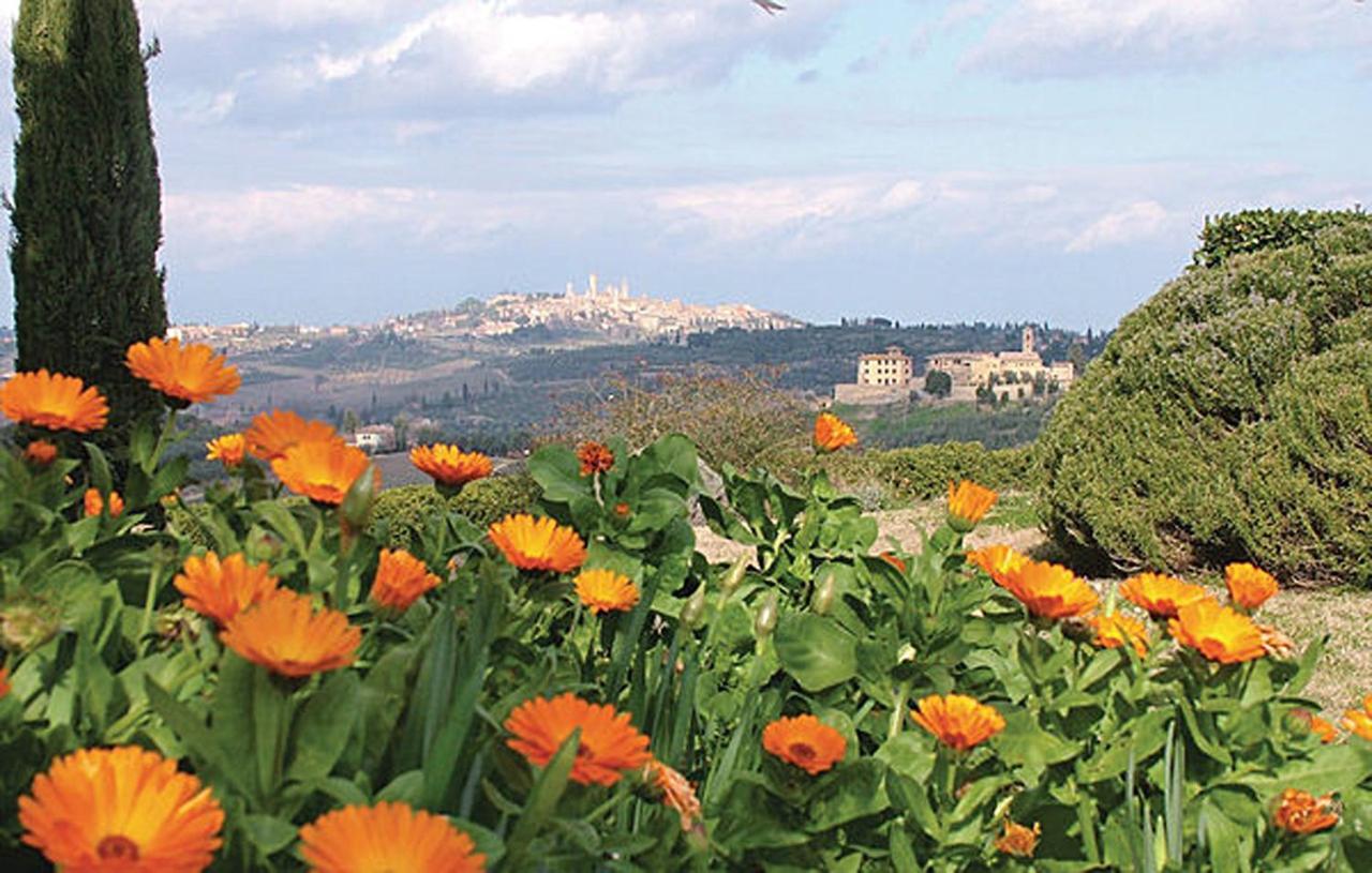 Agriturismo Fattoria Il Piano - Appartamento Focolare - San Gimignano Ngoại thất bức ảnh